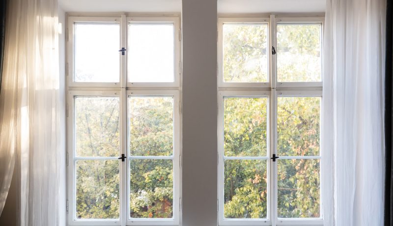 Fall, autumn season. Trees with yellow leaves out of two closed white wooden windows